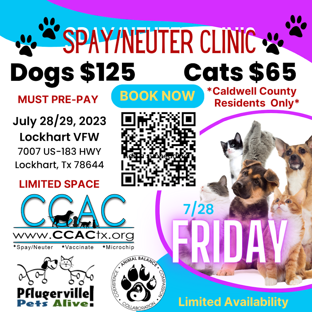 Cheapest place to neuter top a cat near me