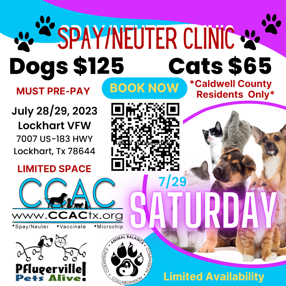 Dog sterilization online near me