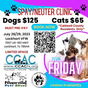 Friday Low-Cost Animal Sterilization Clinic